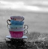 teacups.jpg image by C-Rissa